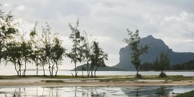 Prairie beach  (6)
